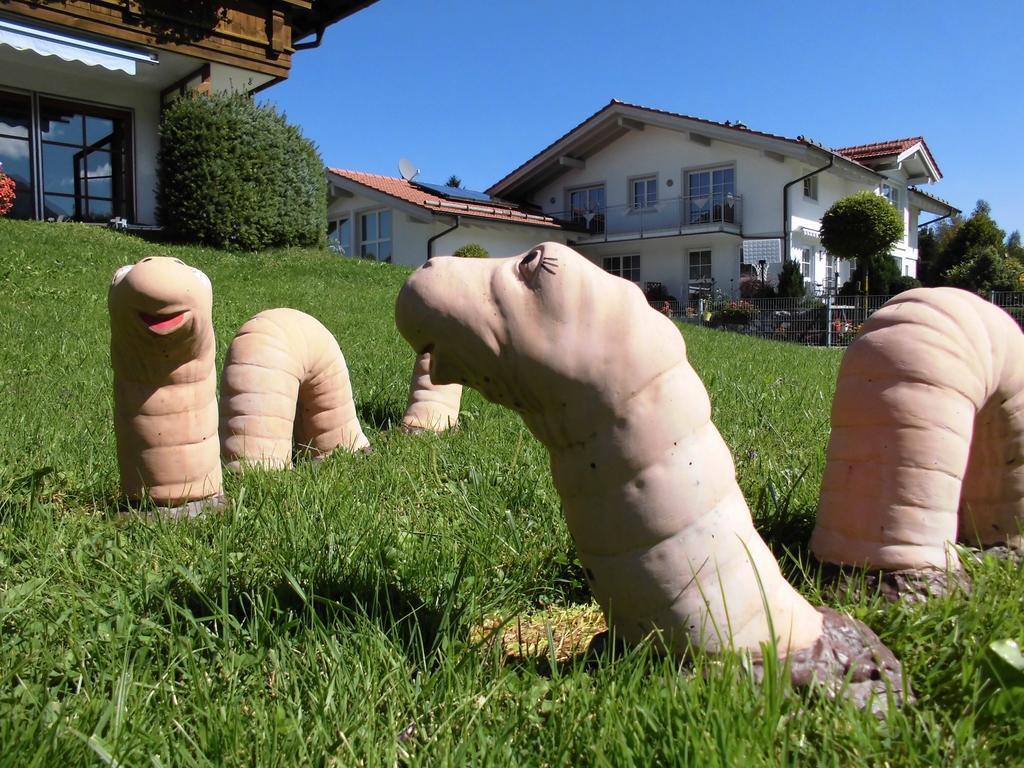 Apartament Ferienhaus Koessel Pfronten Zewnętrze zdjęcie